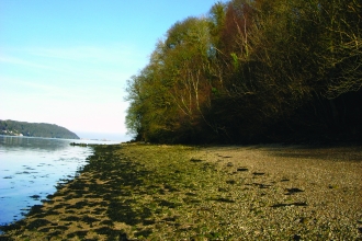 Nantporth Nature Reserve