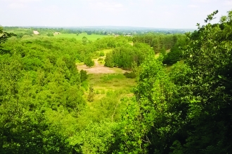 Marford Quarry Nature Reserve