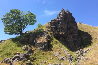 A lone tree sitting on the side of a hill, lots of bare loose rock is visible between the grass and a large cliff face forms the peak of the hill. The sky is bright blue with almost no cloud.