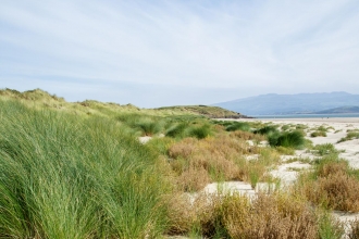 Morfa Bychan Nature Reserve