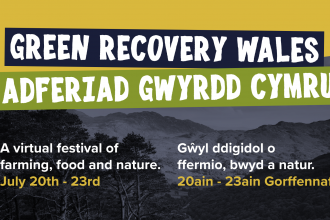 Green Recovery Wales Festival 2020