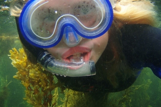 Snorkelling - Anna Williams North Wales Wildlife Trust