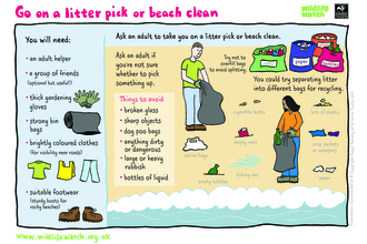 Litterpick_Activity Sheet