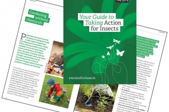 Action for insects guide