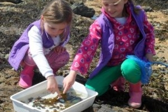 Rockpool finds