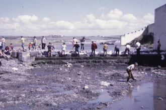 A volunteer work party at Cemlyn in 1973