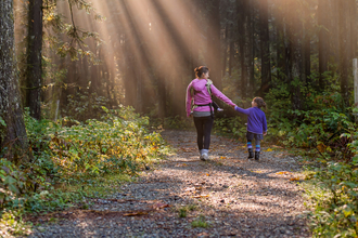 People walking in a forest