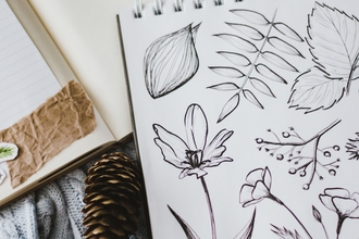 A sketch book with line drawings of various leaves, flowers and parts of plants, resting on an open notebook with collage materials in mainly brown and black and white colours. In the corner between the 2 books is a pinecone, next to the notebook a black and green pen. All on top of a pale blue-grey cable knit sweater.