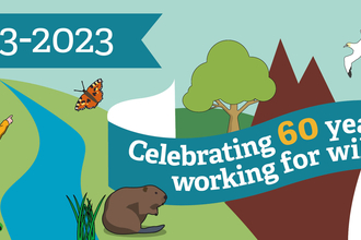 An illustrated image with stylised mountains, a river, people pointing, a butterfly, beaver, gannet, grass and a tree. Featuring banners with '1963 - 2023', and 'Celebrating 60 years working for wildlife'.60th anniversary_banner_English