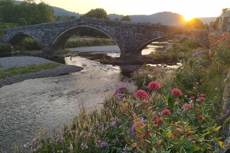 River and bridge with hidden invasive species 