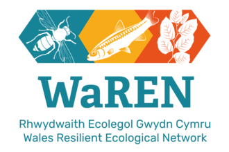 WaREN Logo
