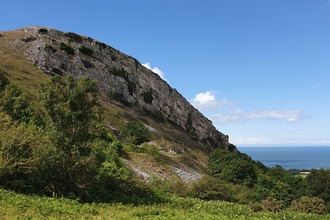 Limestone Grassland Restoration