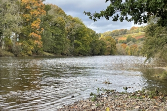 A calm wide river, with a stony bank and overhanging trees. On the far side are trees of all shades of green and some yellows of the start of autumn.
