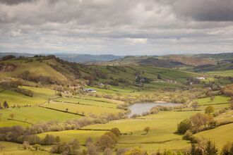 Peter Cairns/2020VISION