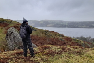 A walker standing on a hillside with rocky outcrops, grass and brash areas. They are looking out at Bala lake. The water is calm, the shore opposite is faded in a slight mist and the sky is grey.