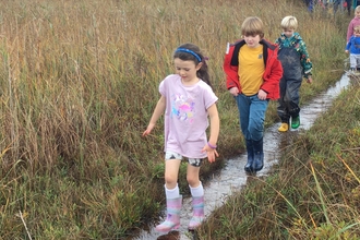 A group of children in wellies walking along the boardwalk at Cors Goch, followed in the background by more young children and some adults. The wooden boardwalk is flooded underfoot, and the surrounding wetland grasses and plants are growing taller than some of the children.