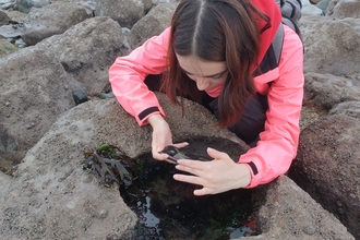 Sophia inspecting a rockpool in limestone