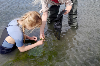 Photo of Katy Haines picking seagrass
