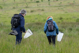 Two people with insect nets search for species in grass