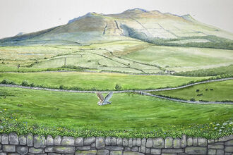 An illustration of Bryn Ifan. With a Barn owl in flight over stone walling, the fields and boundaries of a farming landscape reach up to the peak of Bryn Ifan's hill. small coulourful wildflowers line the nearby wall, and the shape of farm animals can be seen in a field.