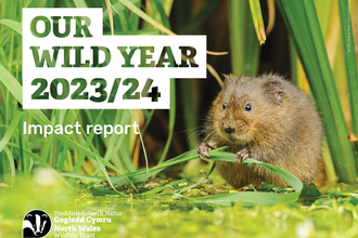 Impact report 2023 to 2024 front cover