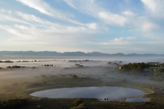 Image of Cors Goch Nature Reserve
