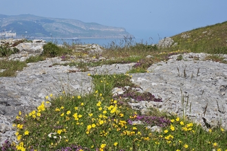 View from Little Orme Summit of the Great Orme 