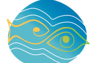 Y Mor a Ni logo with no text