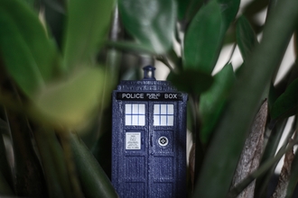 A small model of the TARDIS, which resembles an old style blue police box, hidden in vegetation.