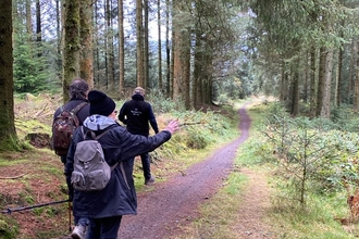 People walking down a path through the trees. The woodland ahead of them is mainly coniferous and quite dense. The person closest is pointing to the right at something of interest they have seen.
