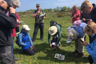 A group of 10 people, in a semi circle, in a field, with ID guides and phones. One person is kneeling and 2 are bending down to look at the flowers in the grass and take pictures of them.