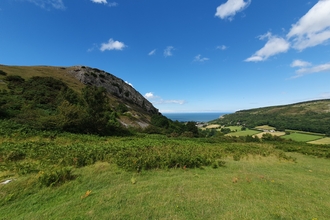 Craig y Forwyn- Limestone Grassland 