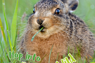 Hop in to 30 Days Wild