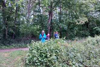 Bug hunt