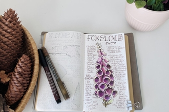 Nature journal, foxglove