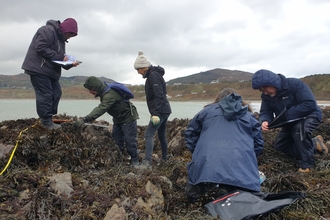 Five people in outdoor clothing on the coastline of Nefyn. They are in among the seaweed and rocks looking at clipboards and tape measures.