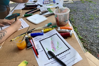 People create drawings of plants and fungi on a table with paints, pens, and pencils