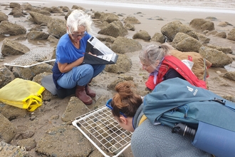 Surveyors Shoresearch Llanfairfechan