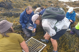 Surveyors Shoresearch Traeth Peniel