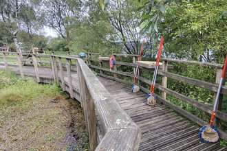 A wooden boardwalk circles around on side of a pond. the railing is lined with small nets with long red handles. Through the trees behind them a field and a large lake are just visible.