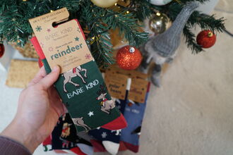 Reindeer socks