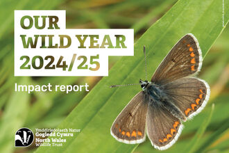 Impact report 2024-2025_English_cover