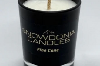 Snowdonia candles pine cone