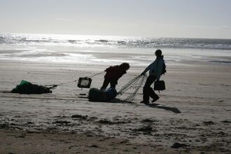 Beach clean