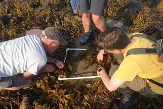 Surveyors Shoresearch Clynnog fawr Aug 2025