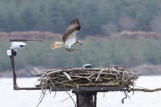 Osprey - Blue 372 (April '26)