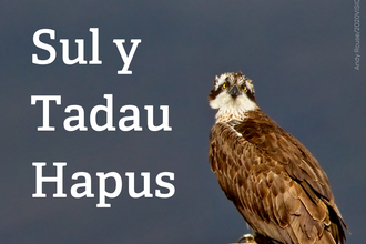 Sul y Tadau Hapus Card