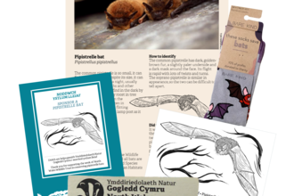 Bat sponsorship pack