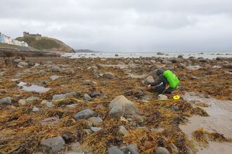 A volunteer inspecting the shore area