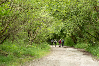 Woodland Walk